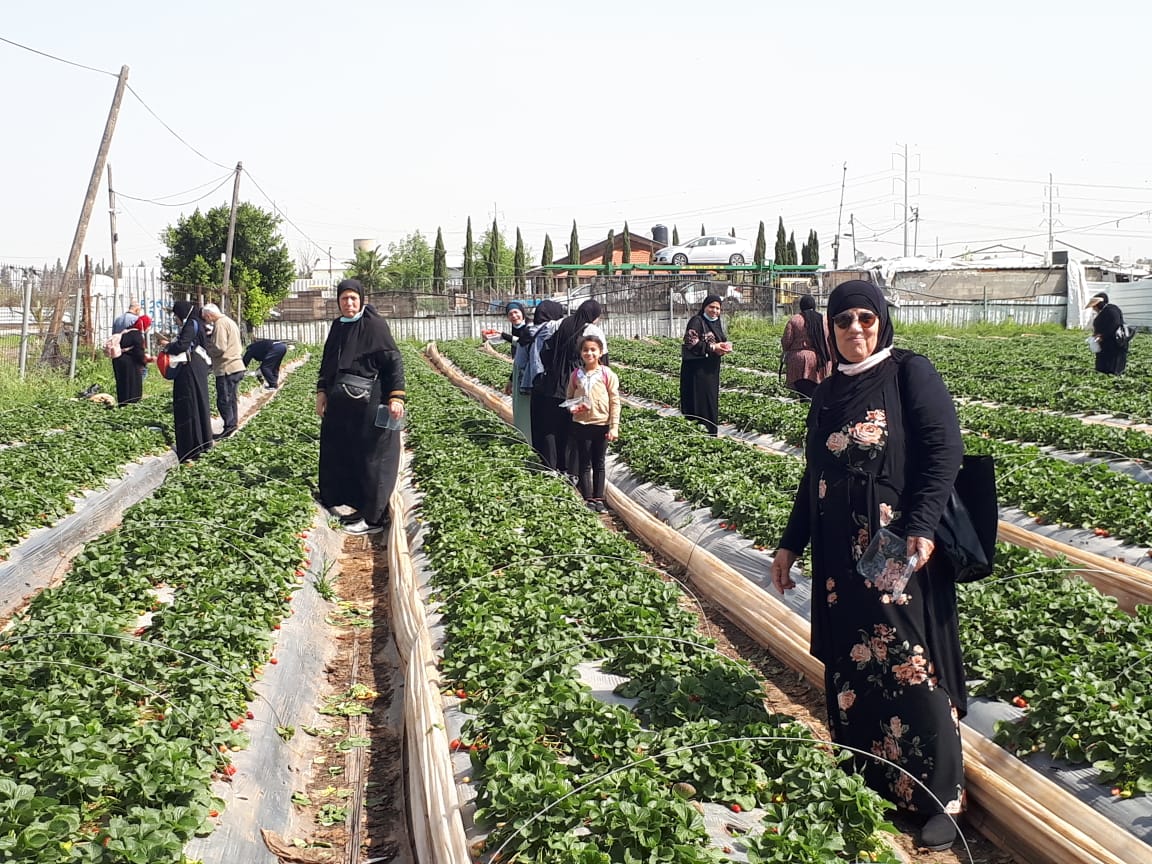 WhatsApp Image 2021-04-11 at 11.52.30 AM.jpeg